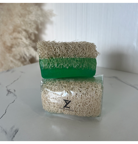 Aloe Vera Kürbisfaser-Seife